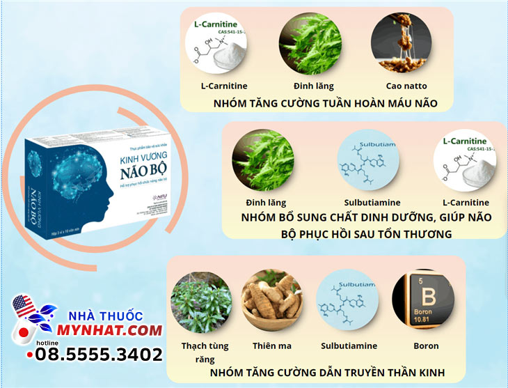 Co-che-tac-dung-theo-thanh-phan-trong-kinh-vuong-nao-bo