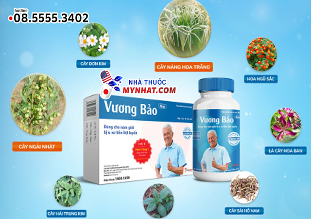 thành phần sản phẩm Vương Bảo